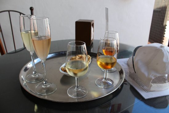 Bodega El Grifo - Museo del Vino