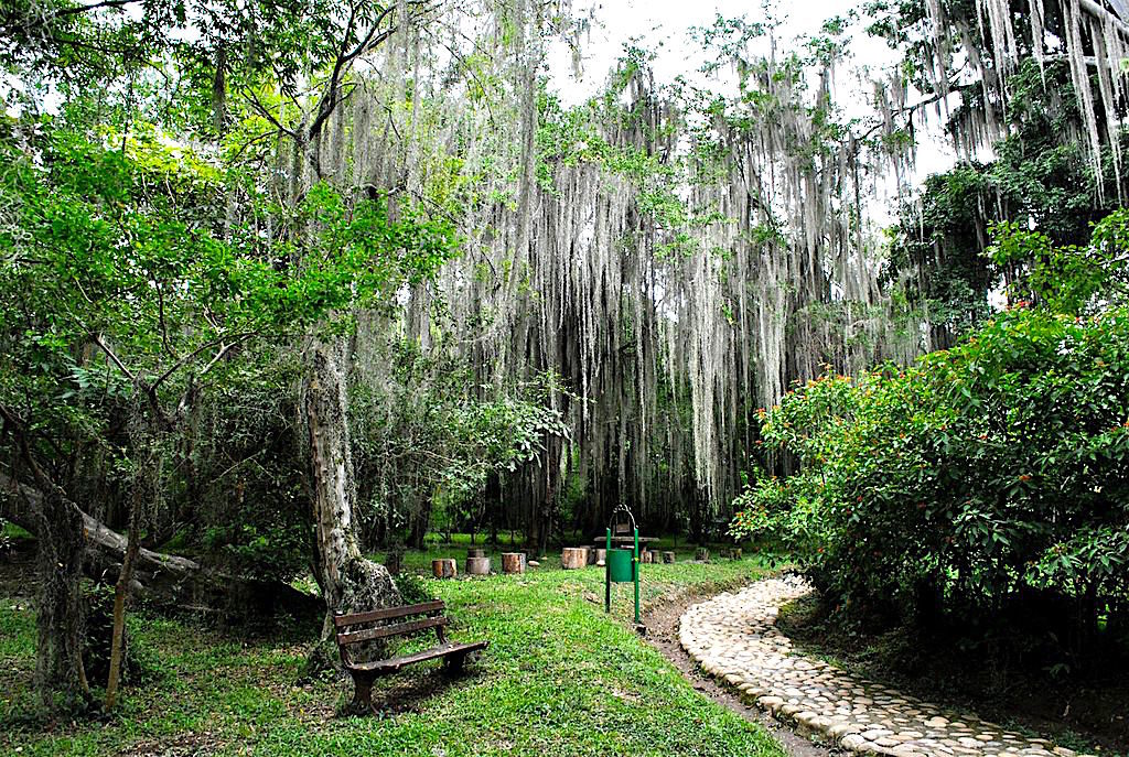 Parque Gallineral