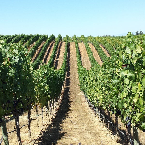 Paul Hobbs Winery