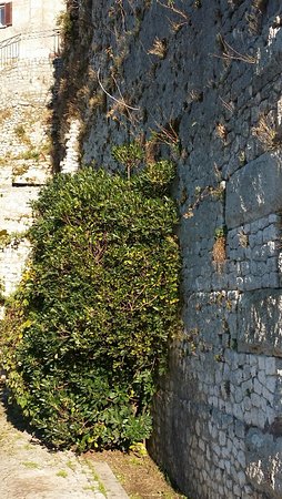 Patrimonio Archeologico