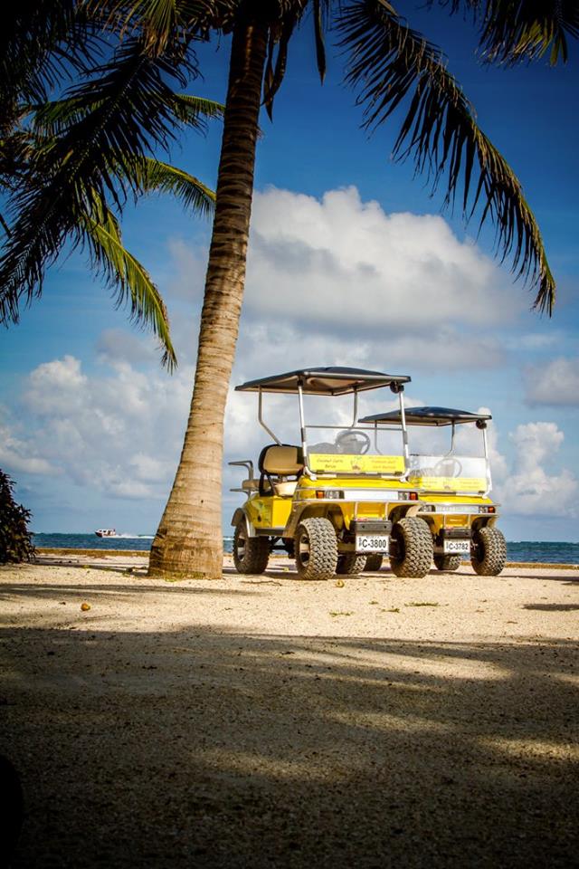 Coconut Carts Belize