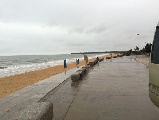 Rizhao Coast Forest Park