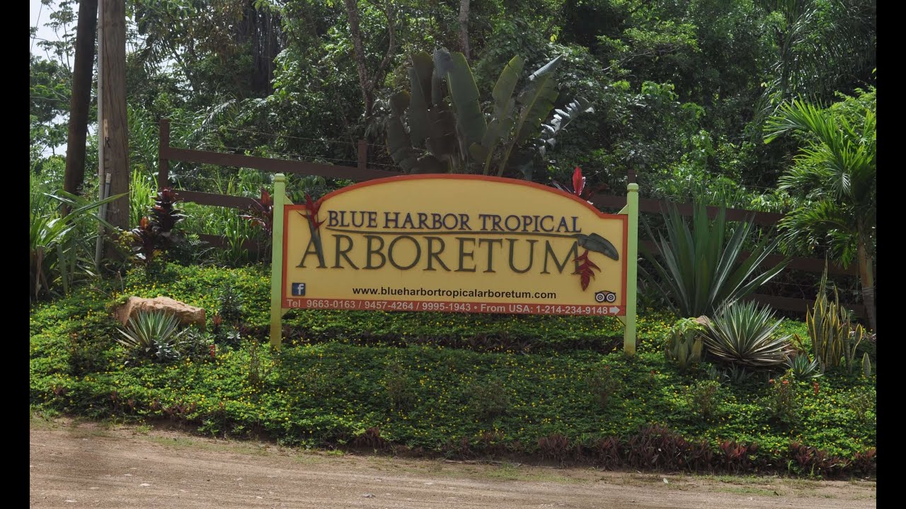 Blue Harbor Tropical Arboretum