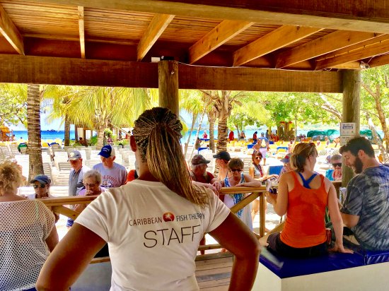 Caribbean Fish Therapy - Mahogany Beach