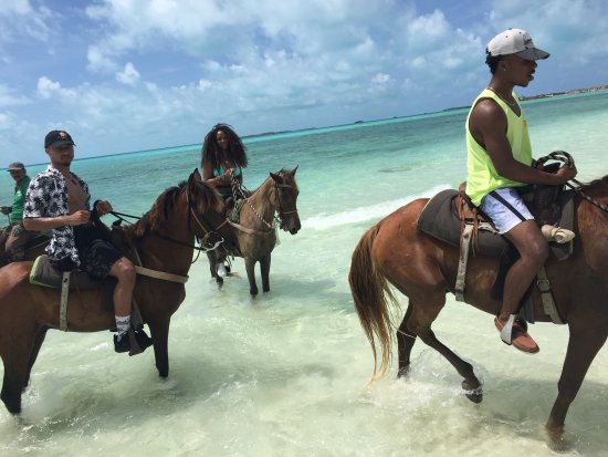 Heritage Tours & Horseback Riding