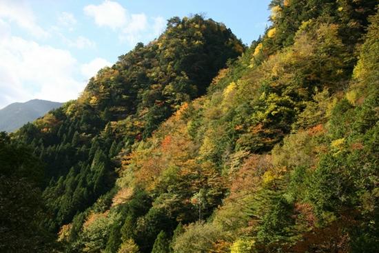 Mitarai Valley