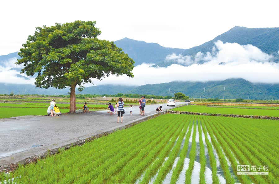 Chihshang Fuzunhuansian Bikeway