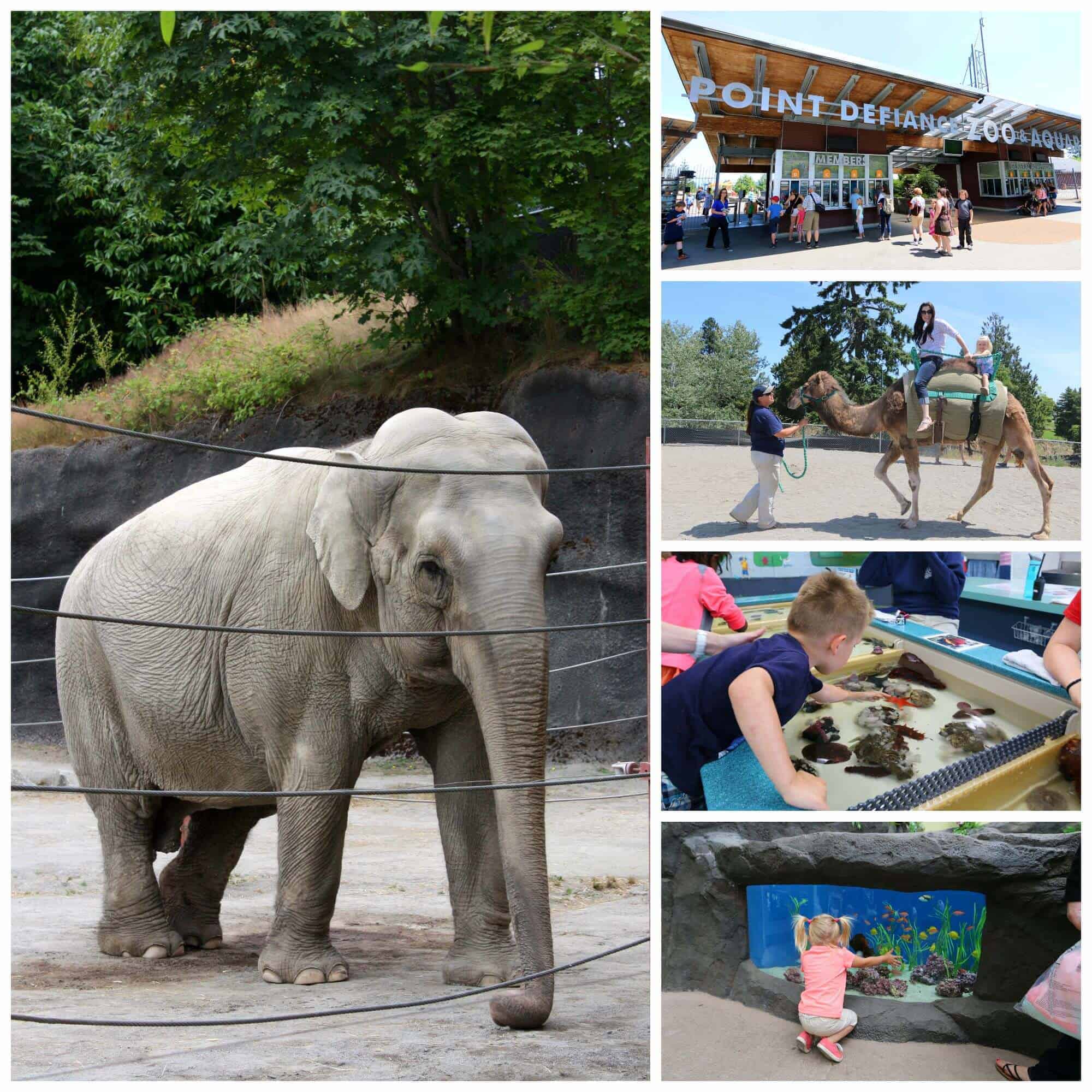 Point Defiance Zoo & Aquarium