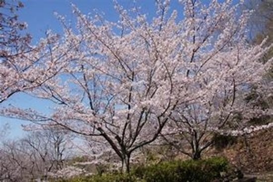 Jagatani Park