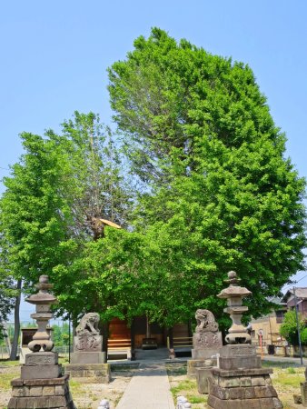 Chikatsu Shrine