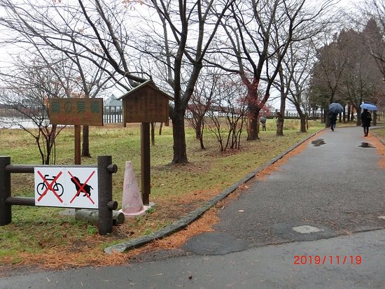 Fujimi Lake Park