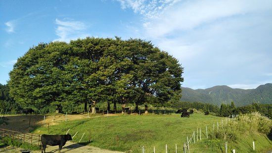 Gassan Kogen Ranch