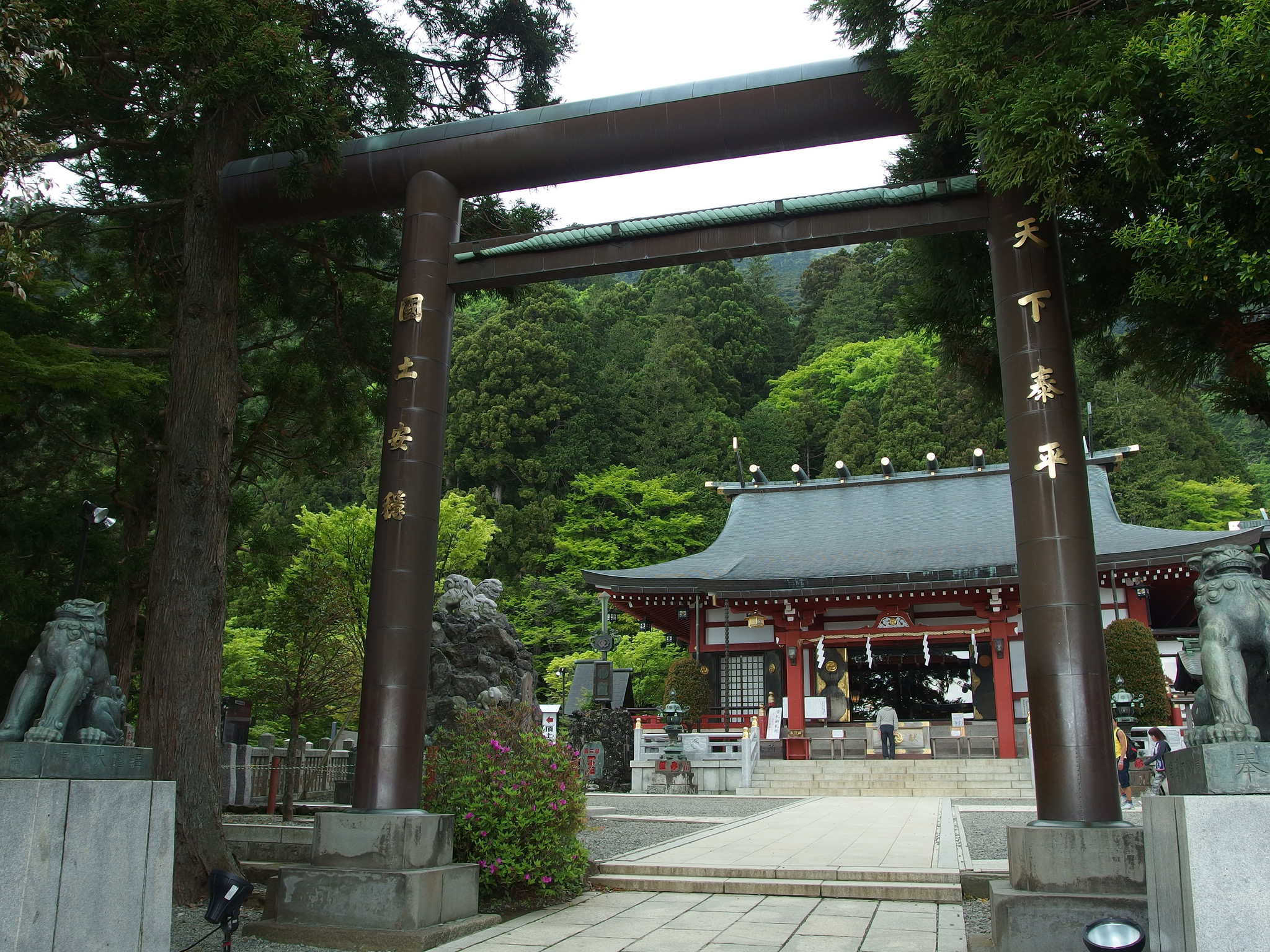 Mt. Oyama