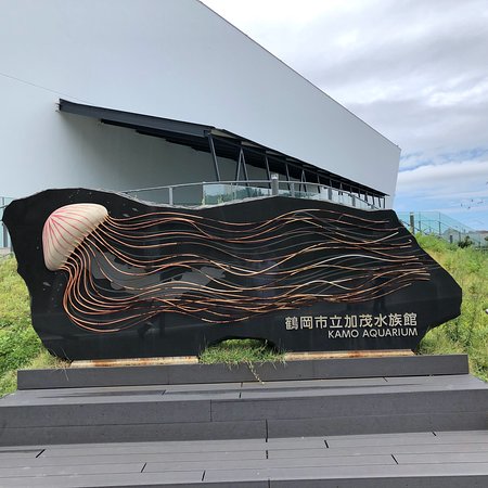 Tsuruoka City Kamo Aquarium