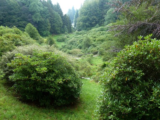 Conca dei Rododendri