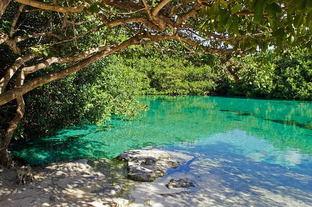 Casa Cenote