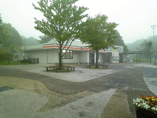 Tarumae Service Area Inbound Line