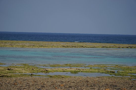 Shimokushi Kaihin Park
