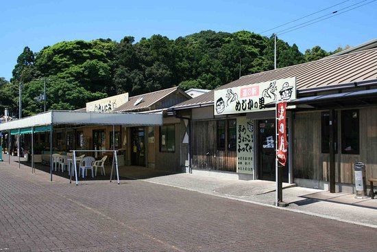 Tosashimizu Mejika Village Michi-no-Eki
