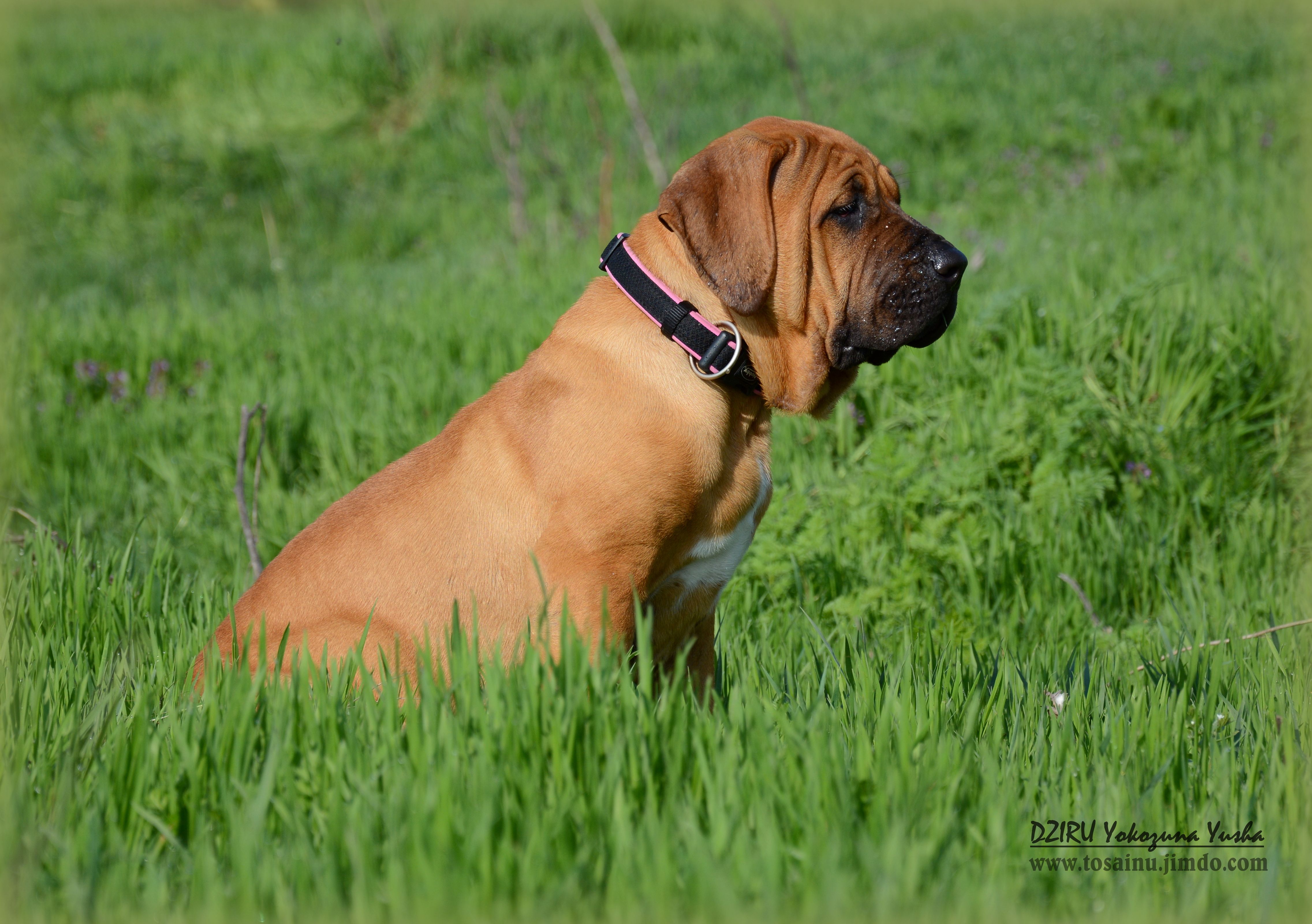 Outdoor Pictures 1