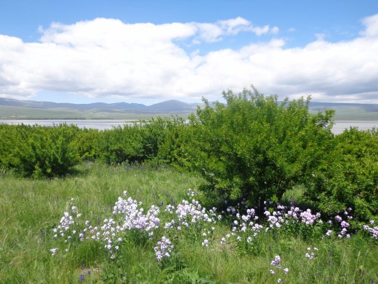 Lake Arpi National Park