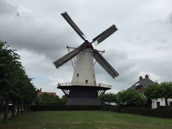The White Mill (Witte Molen)
