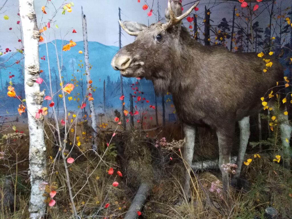 Severouralsk Local Lore Museum