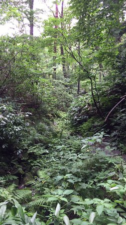 Sendai City Wild Plants Garden