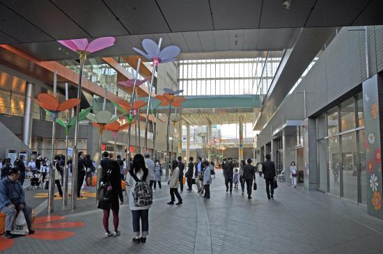 Futako Tamagawa Rise