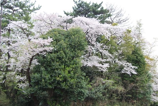 Mitakesan Kofun