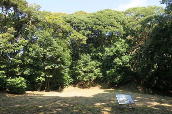 Outdoor Pictures 1