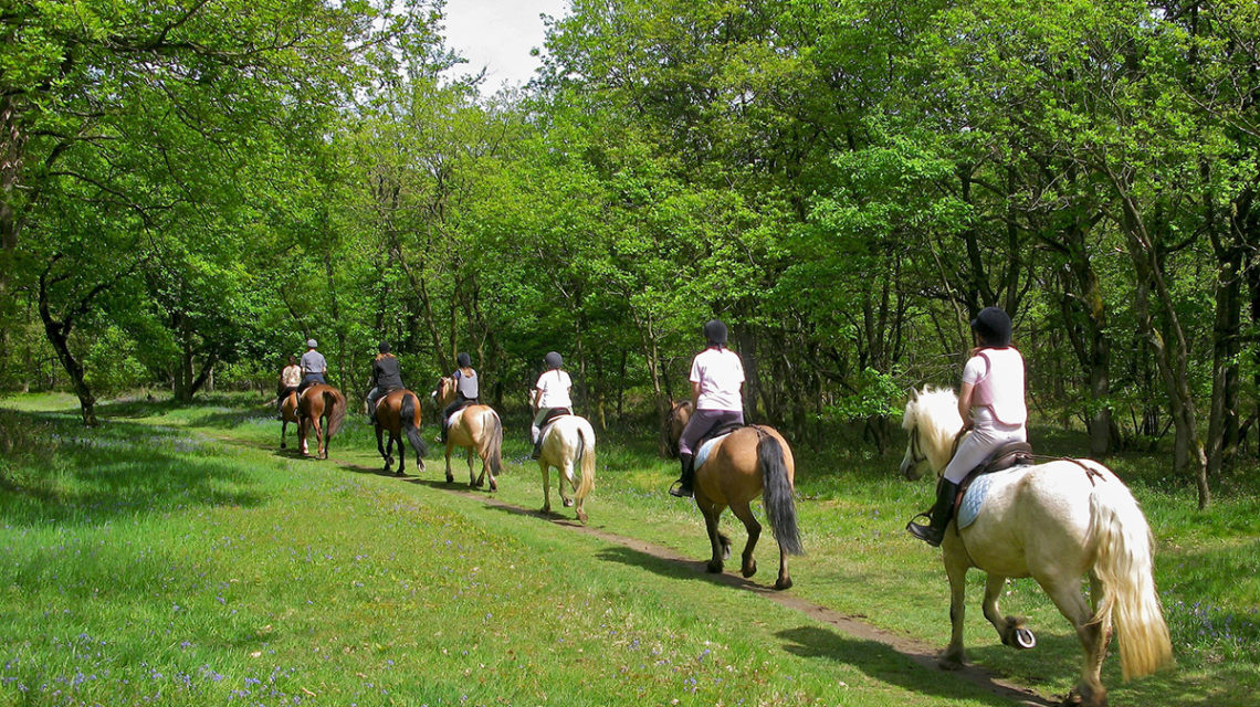 Maneggio La Marca Ranch