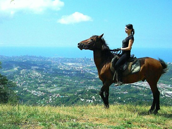Horse Riding Club Favorit