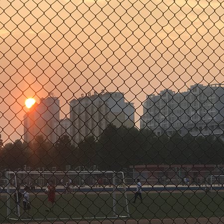 Northwest Agriculture Forestry University Expo Garden