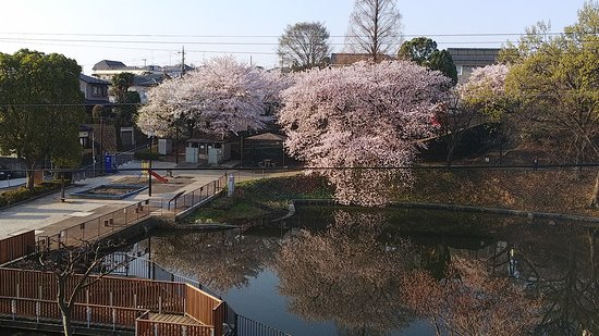 Bunsozaka Park