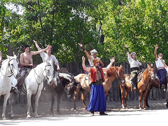 Horse Theatre Zaporizhzhya Cossacks