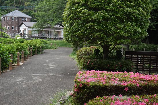 Outdoor Pictures 1