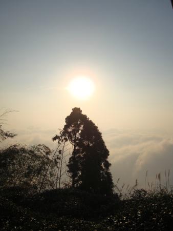Gukeng Huashan Trail