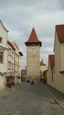 Wolf Tower