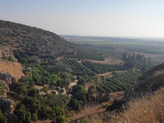 Hotem Hacarmel Nature Reserve