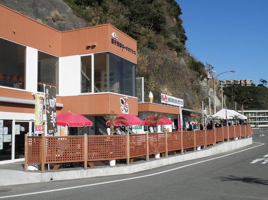 Zushi Beach Road Oasis