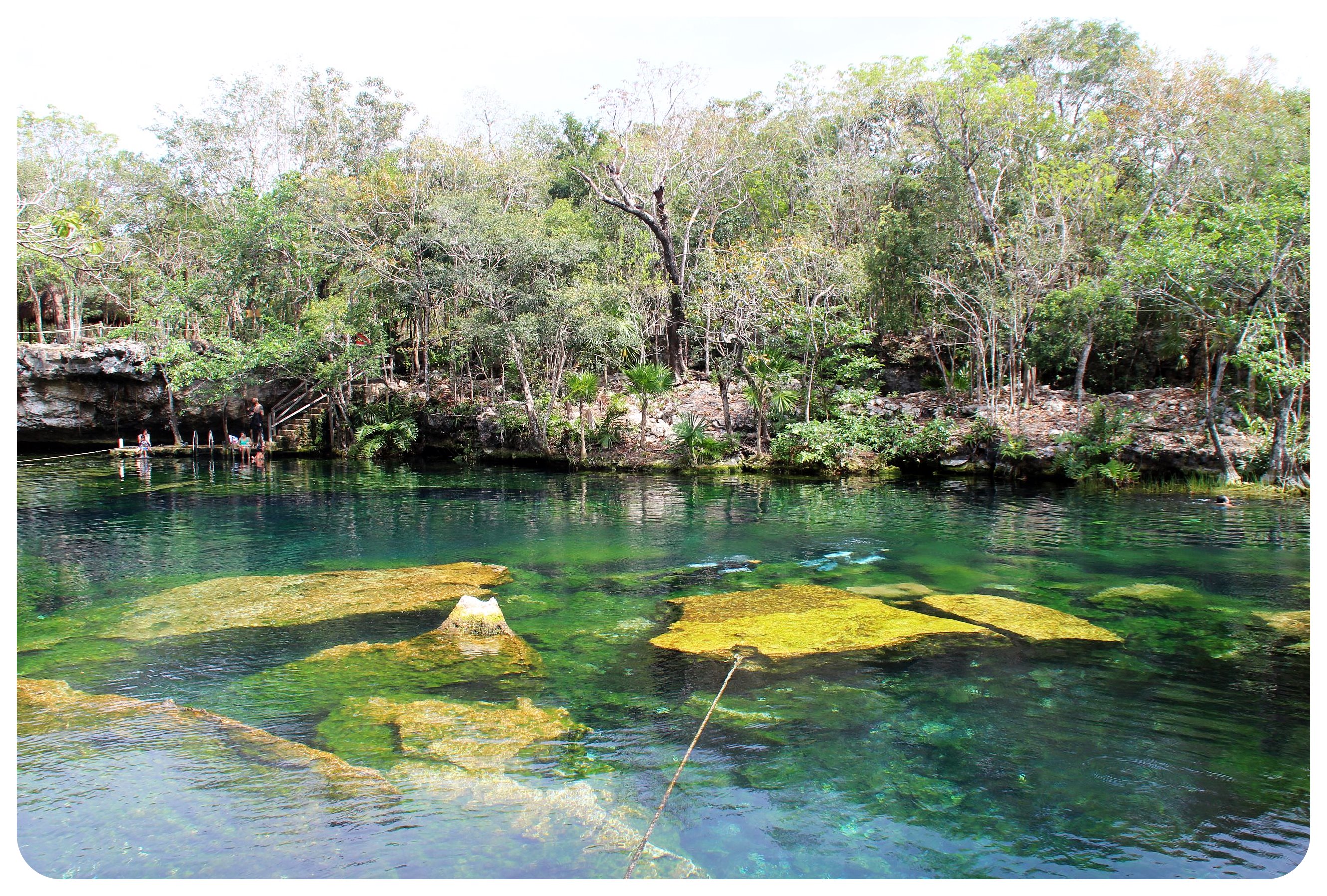 Cenote Jardín del Eden