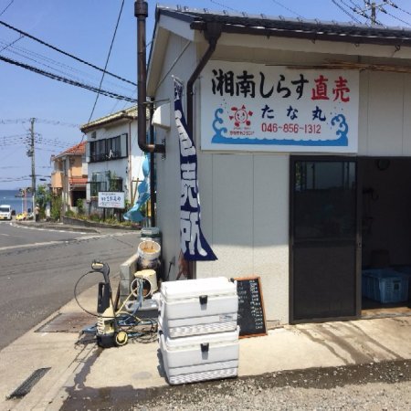 Shonan Shirasu Chokubaijo Tanamaru