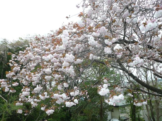 Shimonagaya Shimonnomori