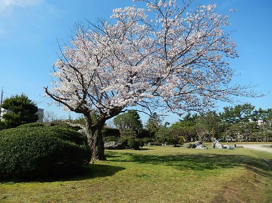 Minatoyama Park