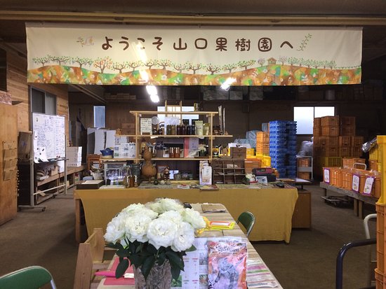 Yamaguchi Orchards