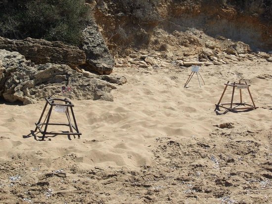 Zakynthos Turtle Rescue Center