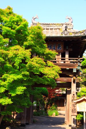 Kenshozenji Temple