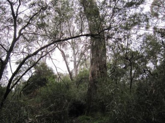 Kaluna Park