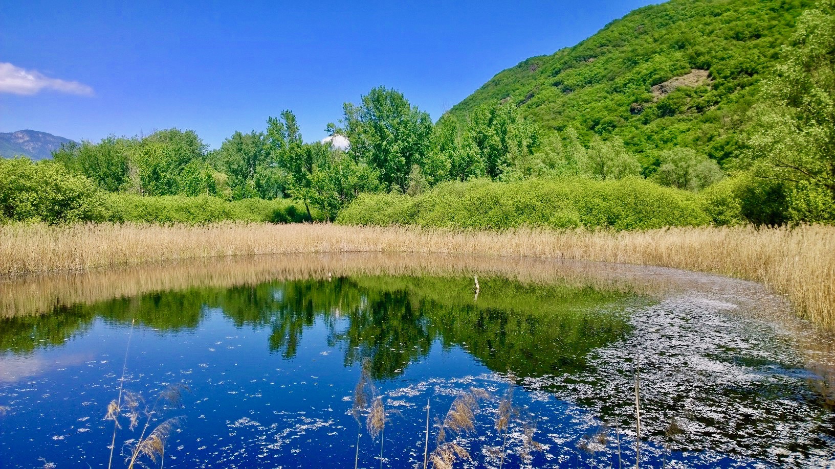 Biotopo Lago Costa